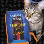 Books, Cats, & Chaos