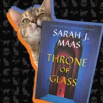Books, Cats, & Chaos