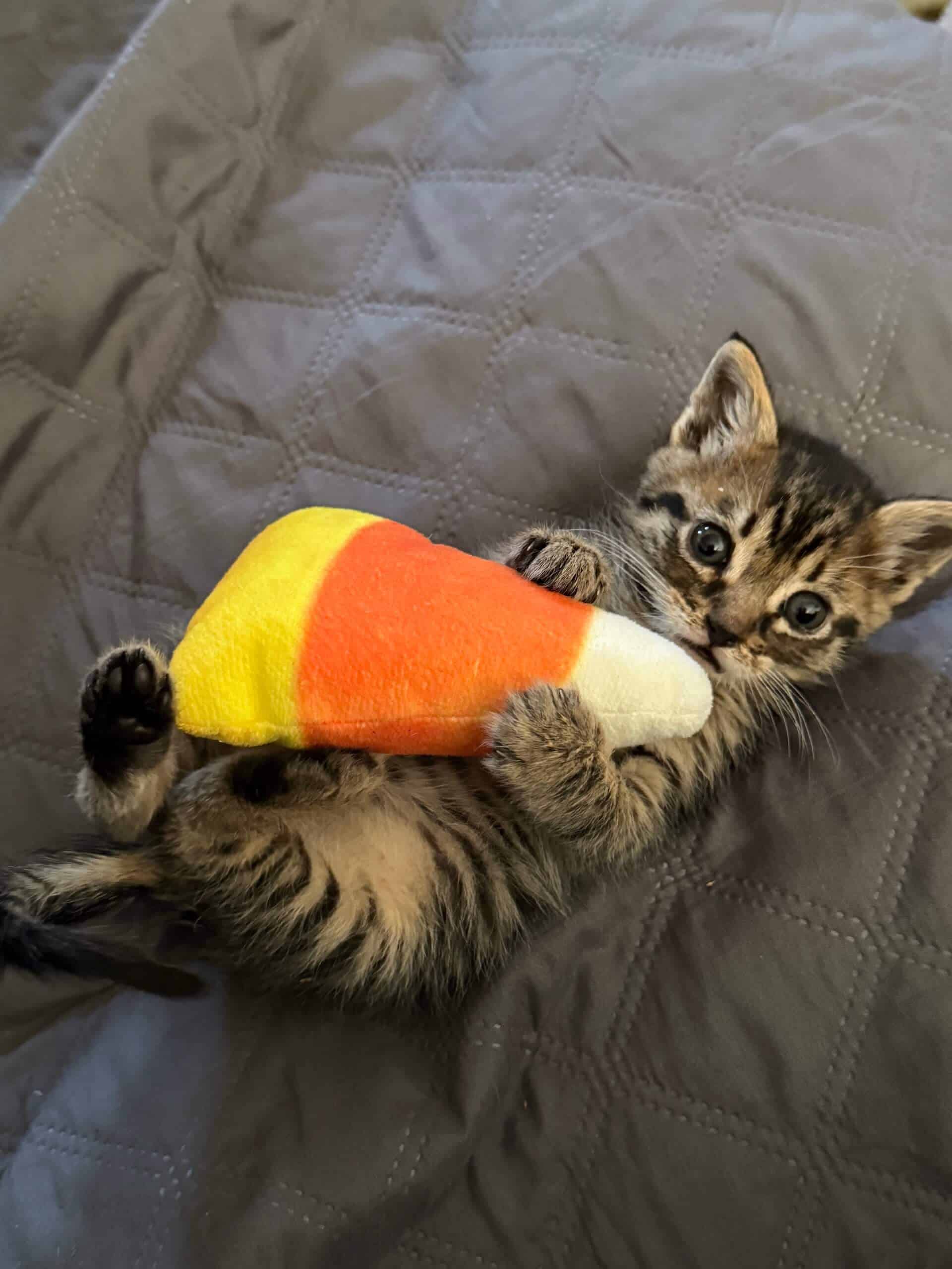 Baby Fynn with candy corn toy