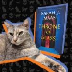 Books, Cats, & Chaos