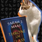 Books, Cats, & Chaos