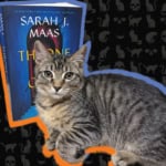 Books, Cats, & Chaos