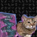 Books, Cats, & Chaos Books, Cats, & Chaos